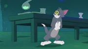 Tom