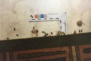 Auf dem Fußboden in einer Wohnung in Unna wimmelt es nur so von Maden. Der Grund: Seit längerer Zeit liegt in der Wohnung eine Leiche.