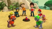 L-R: Zuma, Rubble, Chase, Carlos, Matea, Ryder, Rocky, Marshall, Skye