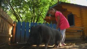 Lisa pflegt ihr Schwein.
