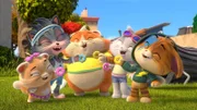 Bei den Buffolympischen Spielen können sportliche Katzen sich in Disziplinen wie "Katzentatzen-Weitsprung" und dem "Kratzbaum-Hindernisturm" beweisen.