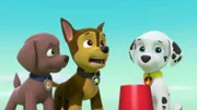 L-R: Zuma, Chase, Marshall