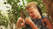 Oscar bestaunt einen Schmetterling.