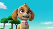 Skye