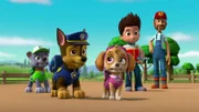 L-R: Rocky, Chase, Skye, Ryder, Farmer Al