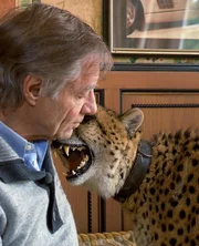 Gepard