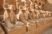 Die berühmte Widderallee vor dem Tempel von Karnak wurde zu Ehren des Gottes Amun-Re errichtet.