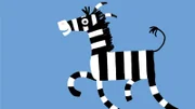 Noch hüpft das Zebra unbeschwert herum.