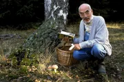 Peter (Peter Lustig) findet an der Birke einige Pilze. Diese Pilze holen sich ihre Nahrung aus den Wurzeln der Birke. Aber der Pilz gibt dem Baum auch etwas, so steht es jedenfalls im Pilzbuch.