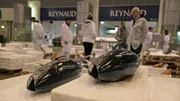 94.000 Tonnen Fisch werden jedes Jahr auf dem Pariser Großmarkt gehandelt.