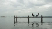 Stimmt es, dass man bereits als Kleinkind die Charakterzüge besitzt, die einem ein Leben lang bleiben. Ein Persönlichkeitspsychologe erklärt außerdem, warum wir unserer Wahrnehmung trauen dürfen, obwohl die Welt, wie wir sie wahrnehmen, nur eine Vorspiegelung unserer Neuronen ist.