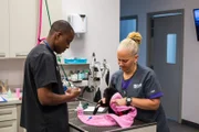Dr. Blue and Linda prep an animal on the table.