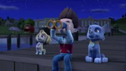L-R: Skye, Ryder, Rocky
