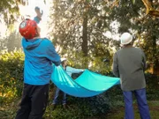 Anxious family members hold open a sheet in case their precious cat comes careening out of a tree.