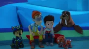 L-R: Chase, Cap'n Turbot, Ryder, Zuma, Wally