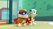 L-R: Rubble, Marshall