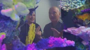 Howie Mandel