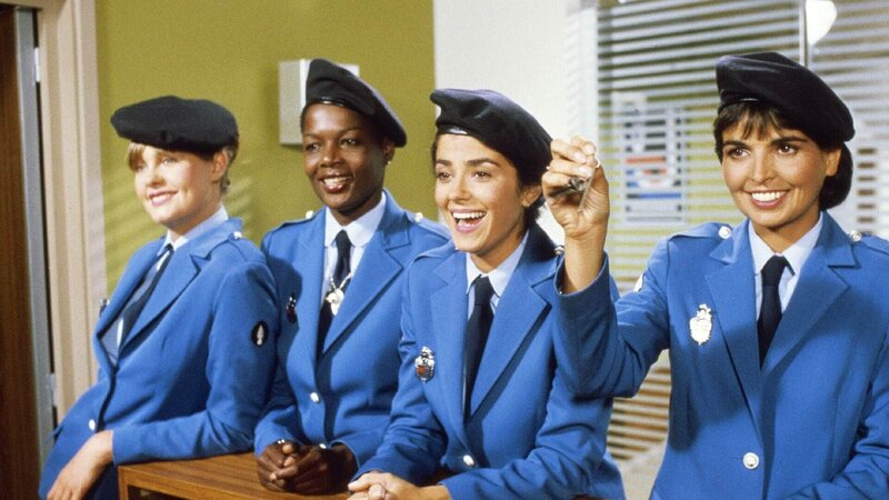 Louis und seine verrückten Politessen (F, 1982)