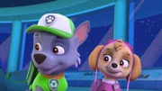L-R: Rocky, Skye
