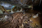 Im "Herbstlabyrinth-Adventhöhle-System", der größten Tropfsteinhöhle Hessens, haben früher auch Bären Zuflucht gesucht.