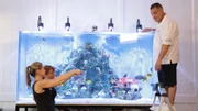 Wayde and the girls put the fish in the tank.
