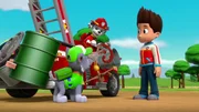 L-R: Rocky, Marshall, Ryder