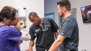 Blue and the vet techs are at the operating table.