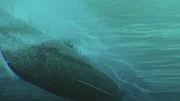 Ein computergeneriertes Bild zeigt das amerikanische U-Boot USS Scamp, wie es taucht, um einer ankommenden Bombe eines feindlichen Seeflugzeugs auszuweichen. (Pacific Fleet Productions, Inc.)