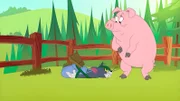 v.li.: Tom, Duke's Pig