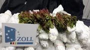 2016 hat der Zoll bundesweit knapp zwei Millionen Tabletten Ecstasy sowie über neun Tonnen Kokain, Marihuana und Amphetamine sichergestellt.