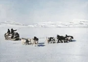 Hundeschlitten