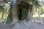 Hydes Team Shelter