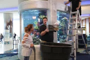 It's time to put fish inside the tank.