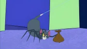 Tom