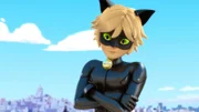 Cat Noir