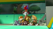 L-R: Rocky, Rubble, Zuma, Marshall, Matea, Chase, Tracker, Skye