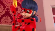 Ladybug