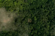 Obwohl Bonobos unsere nächsten Verwandten sind, wissen wir wenig über sie. Eine junge Forscherin, Leveda Cheng, will im tiefen Dschungel des Kongos die Gruppendynamik der wild lebenden Tiere enträtseln. Bild: Forschercamp des Kokolopori Forschungsprojekts aus der Vogelperspektive.
