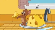 v.li.: Jerry, Fly