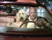 Bill Boyle (Ken Howard) hat unerwartet Freundschaft mit dem Pudelrüden Jack geschlossen.