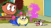 v.li.: Ruby, Zokie, Chihuahua