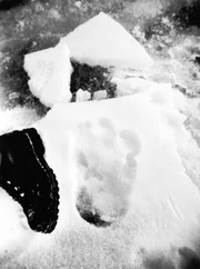 Yeti-Fußabdruck mit Stiefel, Nepal, August 1951. Mount Everest-Aufklärungsexpedition 1951.