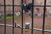 In Deutschland sitzen 38 Mütter mit 44 Kindern im Gefängnis. 2590 weibliche Strafgefangene sitzen derzeit in deutschen Gefängnissen.