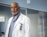 Dr. Richard Webber (James Pickens jr.)