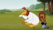 Foghorn Leghorn
