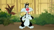 Sylvester