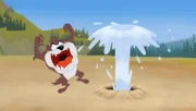 Tasmanian Devil