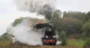 Die kleine Schmalspurlok wurde 1949 gebaut. Auf den sogenannten Südzufuhrbahnen transportierte sie früher Güter für die Landwirtschaft und für die damals hier angesiedelten Zuckerfabriken. Heute bringt sie die Reisenden von Rùdnycja nach Hajvoron.