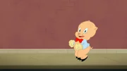 Porky Pig