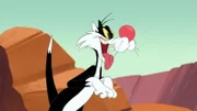 Sylvester